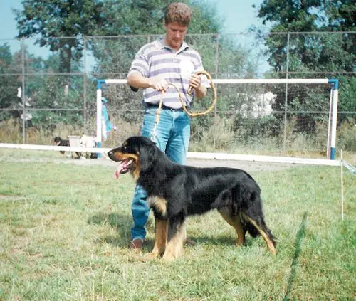 Dan Hradská hora