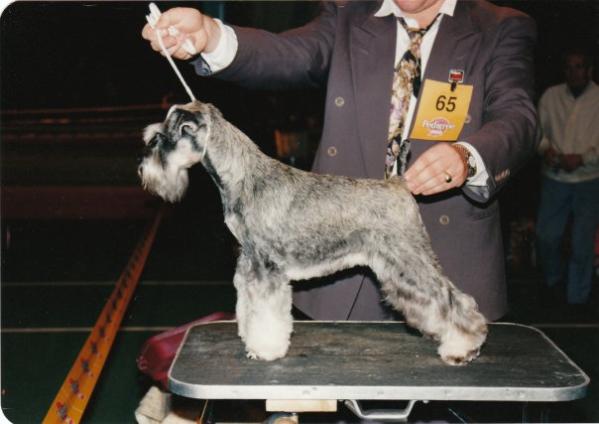 Schnauzerhills Express Yourself