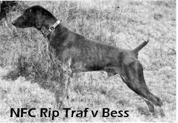 Rip Traf von Bess
