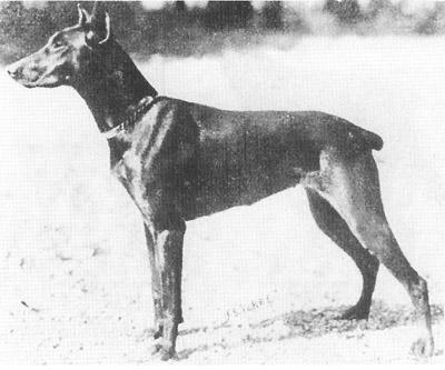 Asta Von Stolzenberg