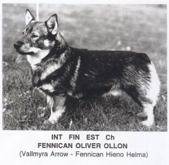 Fennican Oliver Ollon