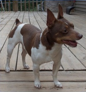 Brooks Ardent Archie May of CCK