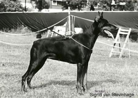 Sigrid V. Stevinhage