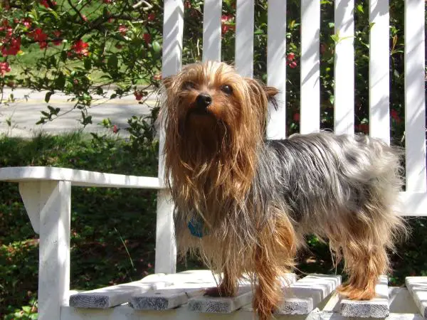 Zeus Leviticus Coleman