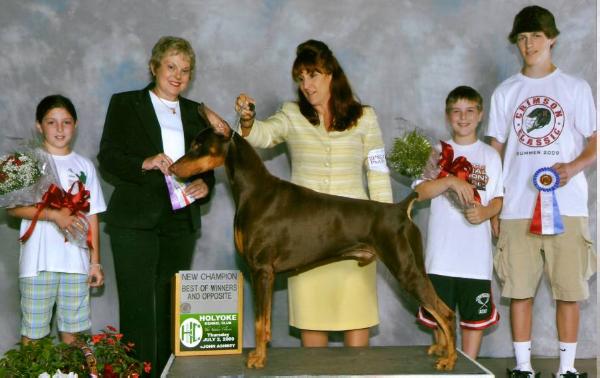 kettle cove dobermans