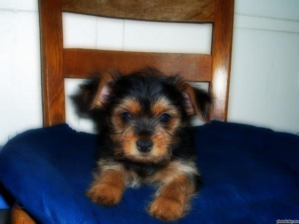 Lucy