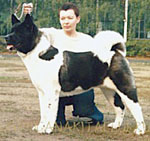 INT'L/RUS/BLR/UKR CH Sasquehanna Mikata