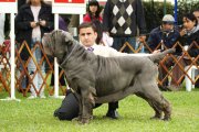 CLOVIS DELLA VECCHIA ROMA