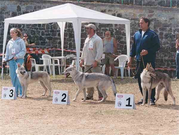 Omak Passo del Lupo