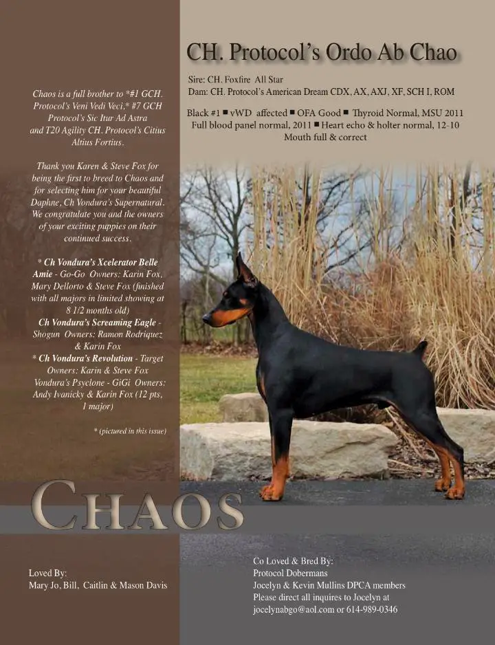 Protocol's Ordo Ab Chao
