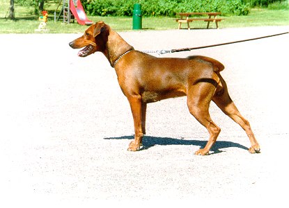 Idaco's EVERLYN BROWN