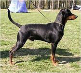 Rivendells CAPRICORN