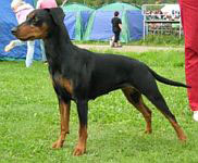 Ceriinan GENEVEVA