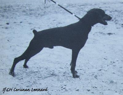 Ceriinan LENNARD