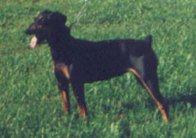 MARIE vom Cronsbach