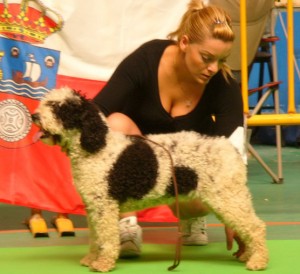 Queka de Valneboeiro