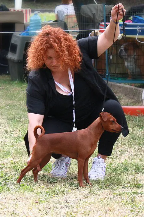 Caldanottesalentina