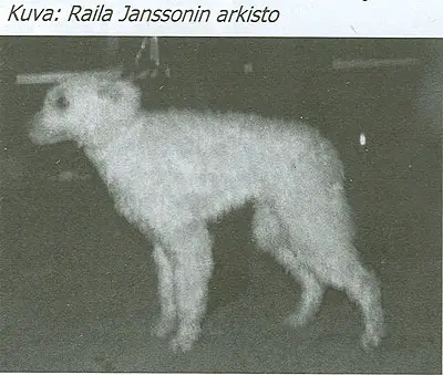 Kutyavári Fitos