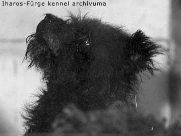 Sziki Fickó