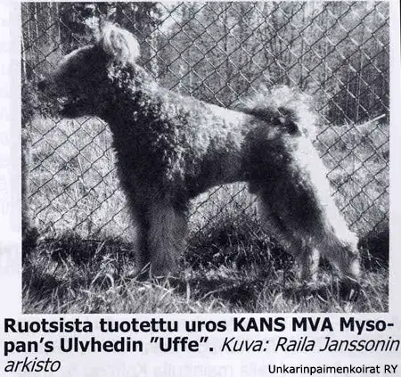 Mysopan's Ulvhedin