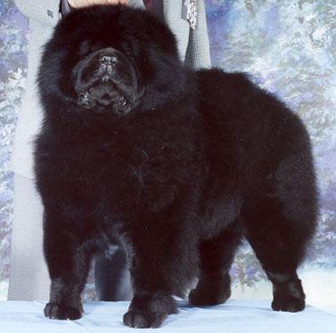 Mi-Paos Black Pitch