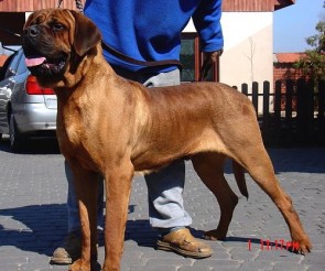 U-Sato z wolki
