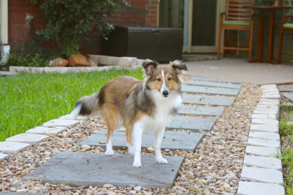 MendBrain's Baxter Brainard
