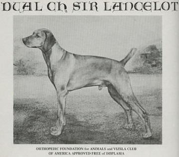 Sir Lancelot