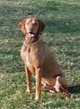 Duke Winston of Marlborough