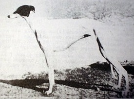 Fabuleuse du Moyen Age
