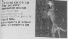 Wilcox Thunder Bingo
