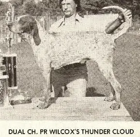 Wilcox Thunder Cloud