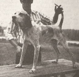 Hendrix Ozark Mack