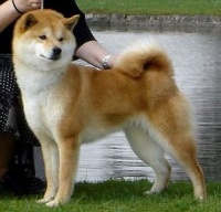 KAORI-GO SHUN’YOU KENSHA