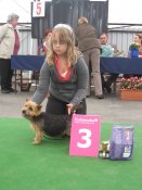 Avril Queen Lovely Companion