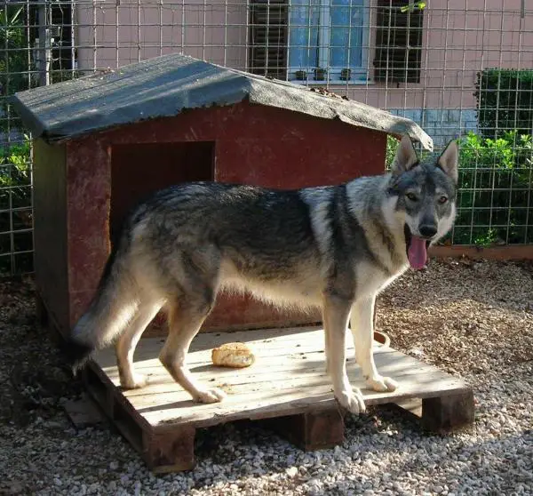 Herby Malý Bysterec