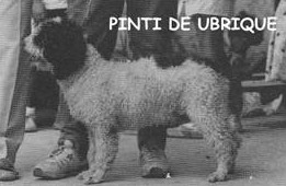 Pinti de Ubrique old