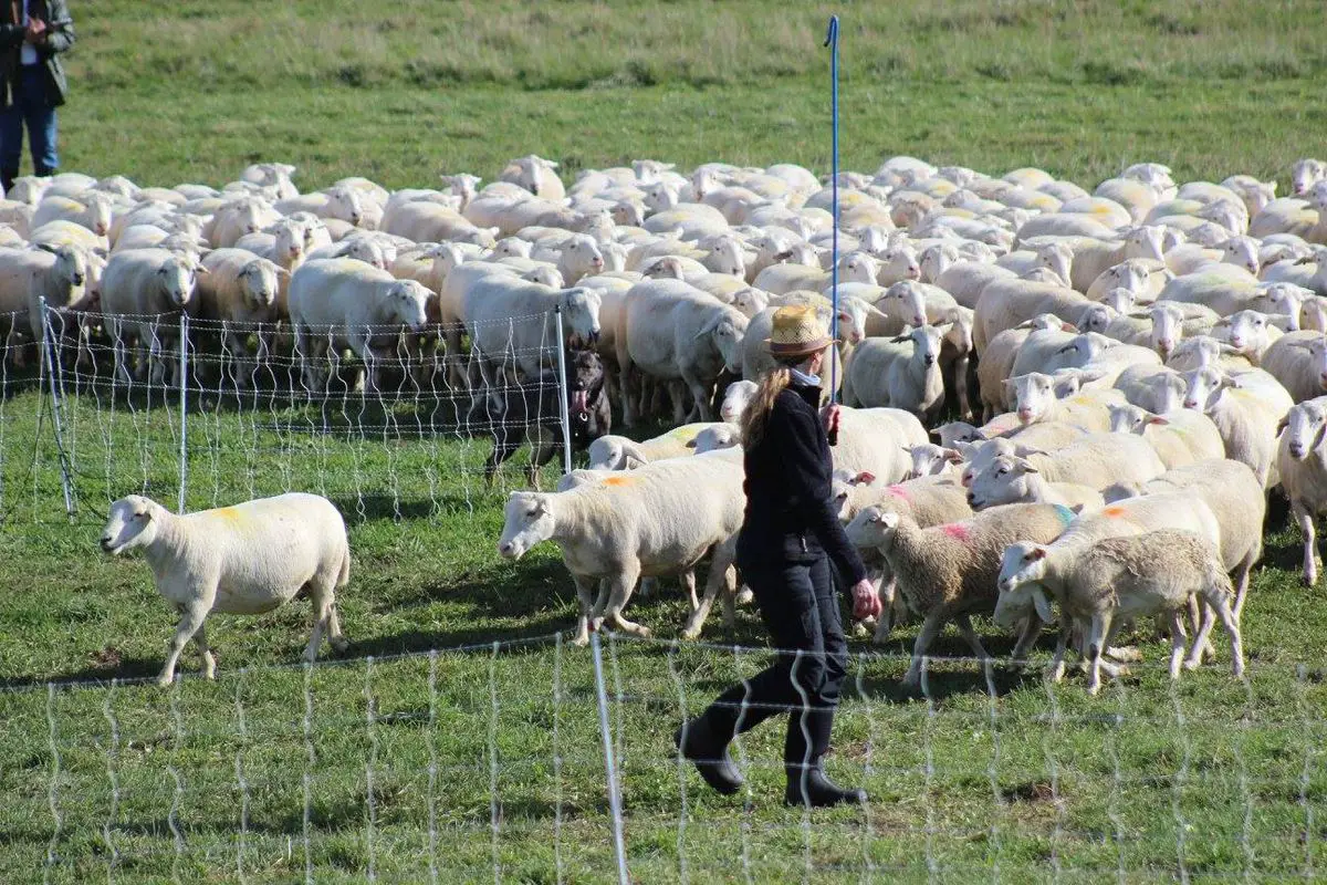 Zevah Van Den Heuvel