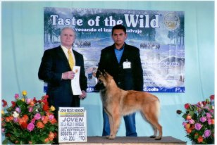 Bonny de los Leones de Fuego