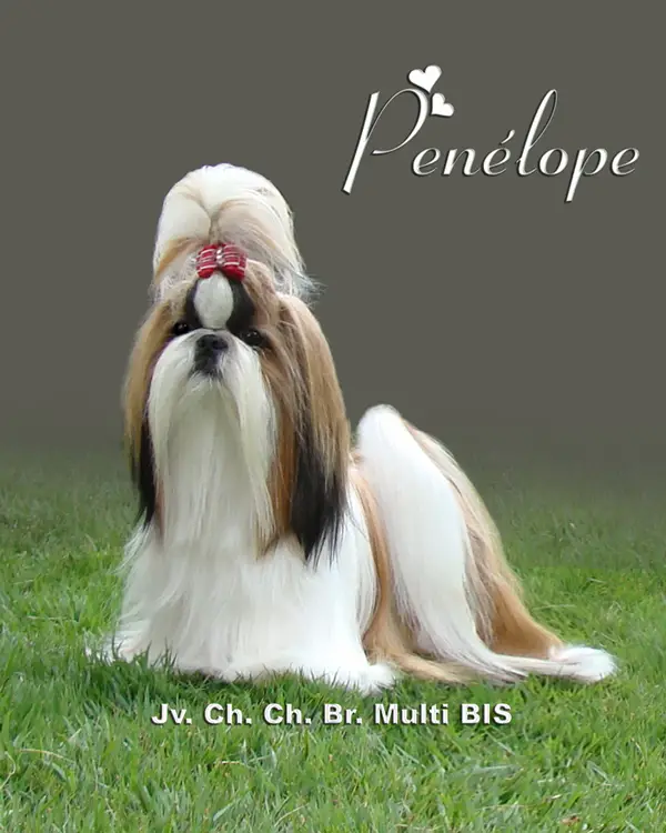 Par D'Ellas Penelope