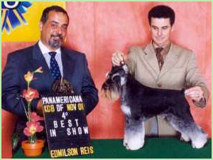 Master da Boa Barba
