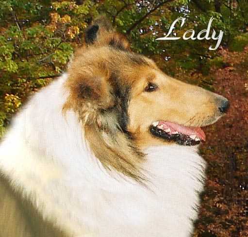 Winmark Lady Freedom