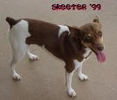 J P Skeeter
