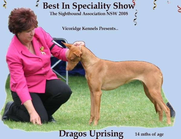 dragos uprising