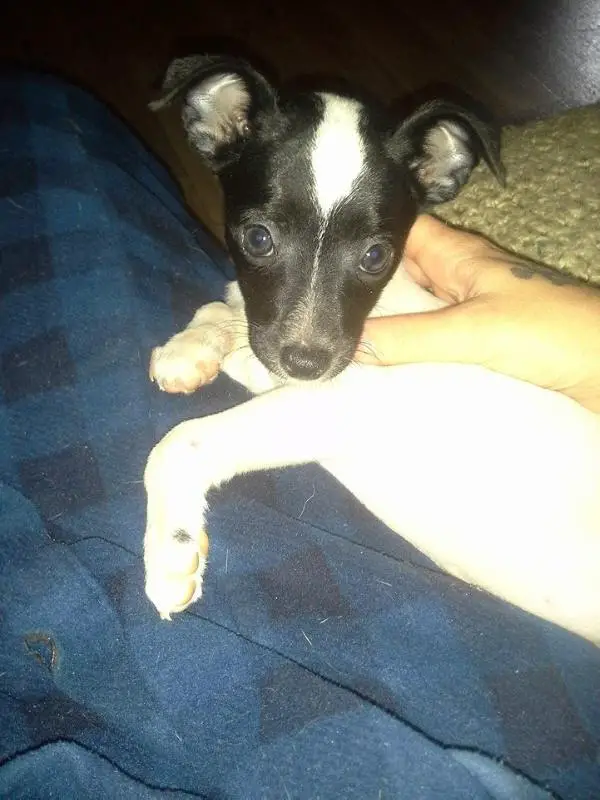 Maggie Mae