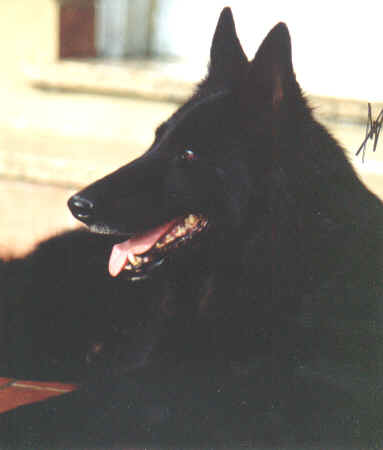 Chica de la Canera del Montseny