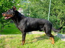 Caesar Eso-Best