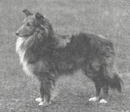 Riverhill Rufus
