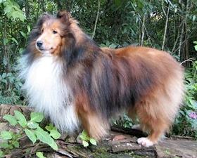 Laureate Laramie