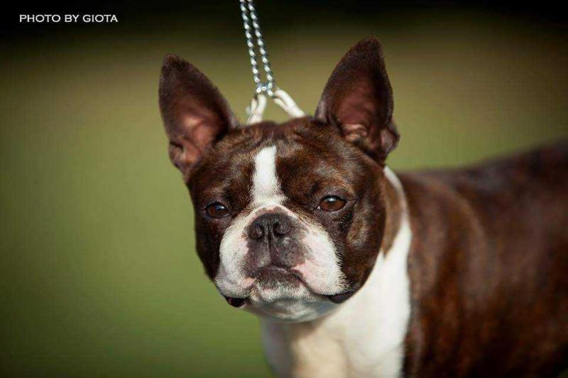 Billie Jean of Adorable Gang